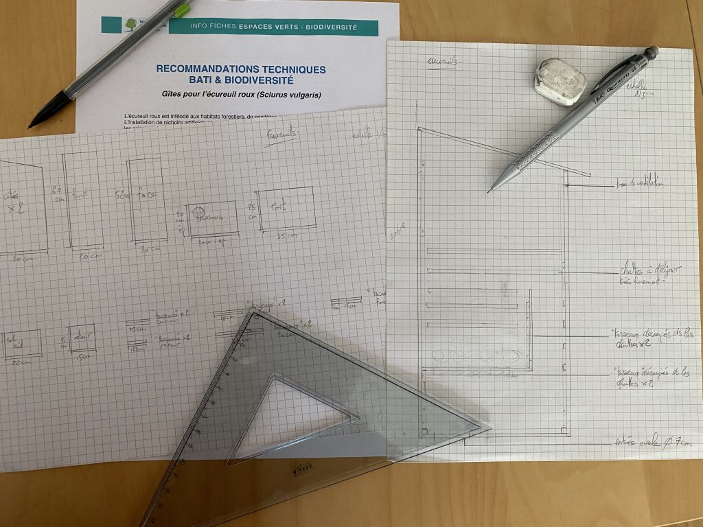 Atelier, plans, cabane écureuils